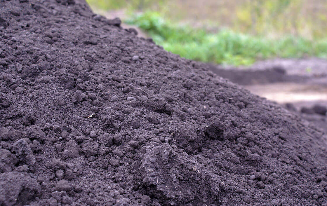 Black Dirt
