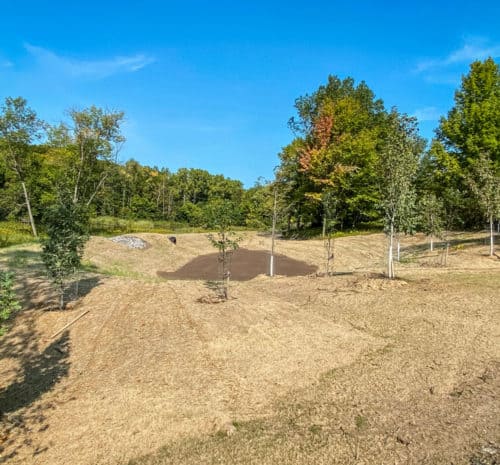 retention pond surrounded by trees