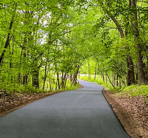 Finished asphalt driveway under trees