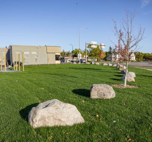 Several large rocks and young trees, located next to a sidewalk