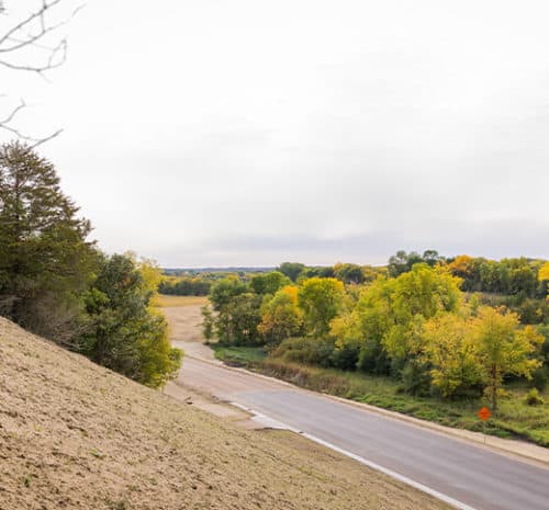 A paved road, shaped by recent construction, curves through a landscape of green and yellow trees on an overcast day, with a grassy hill sloping down on the left side of the image.